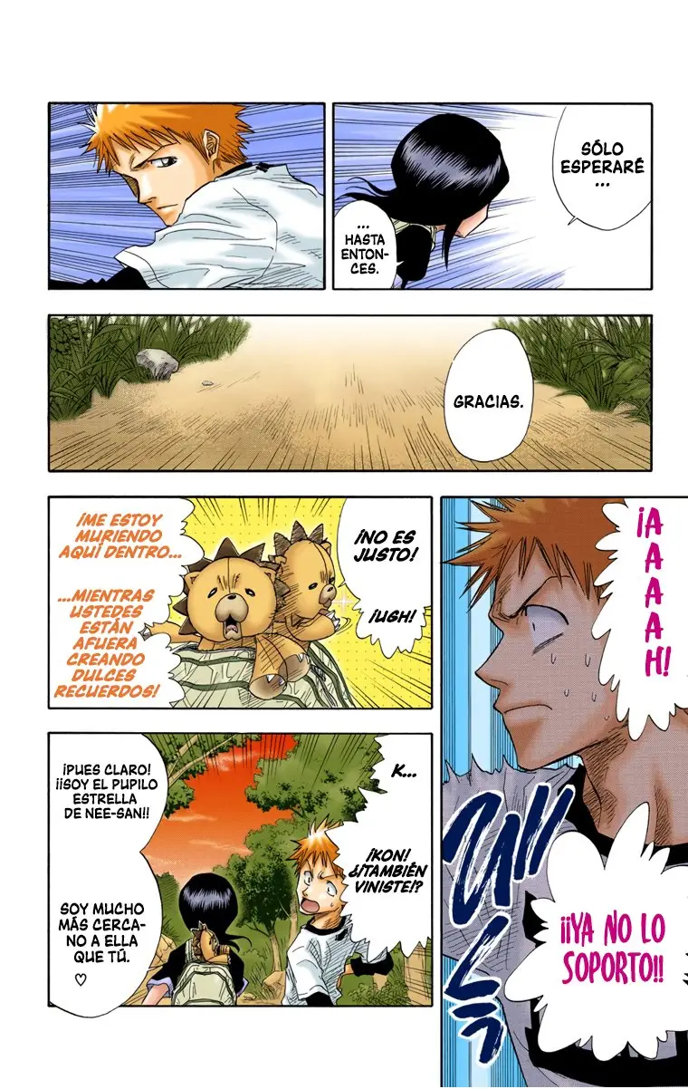 Bleach (Color) capítulo 20, página 13