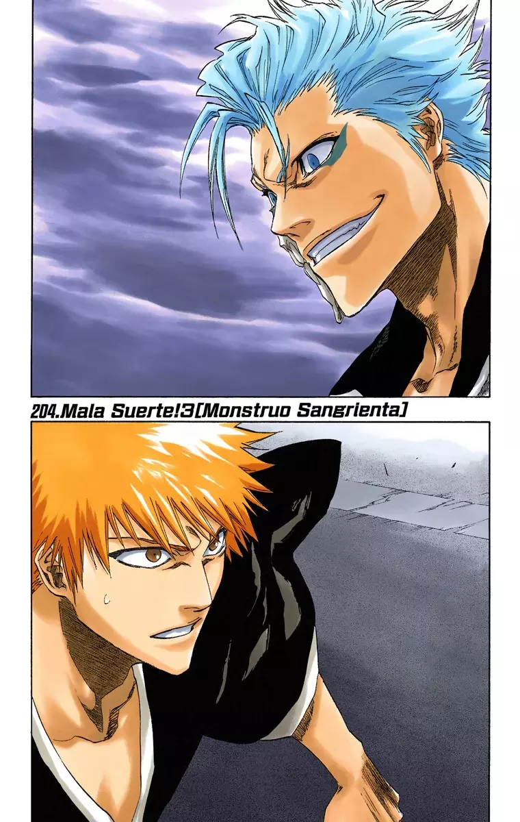 Bleach (Color) capítulo 204, página 2