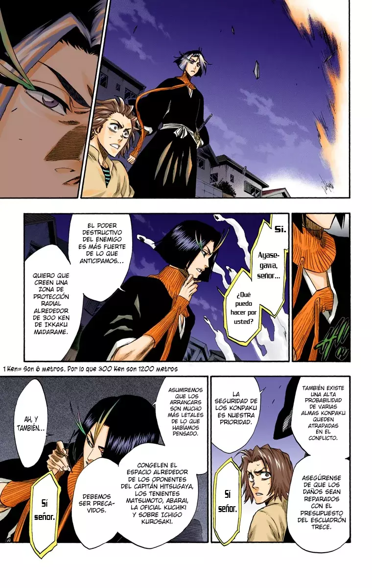 Bleach (Color) capítulo 204, página 13