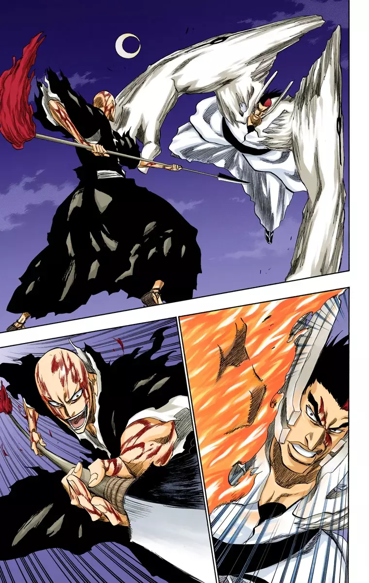 Bleach (Color) capítulo 204, página 17