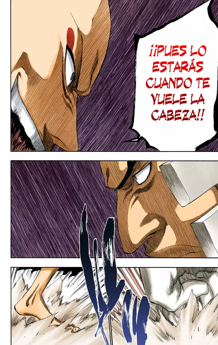 Bleach (Color) capítulo 205, página 8