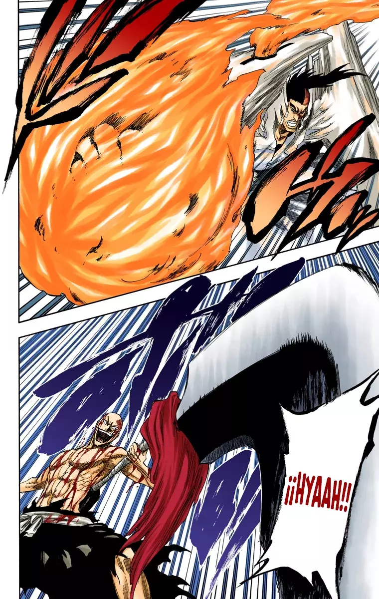 Bleach (Color) capítulo 205, página 10