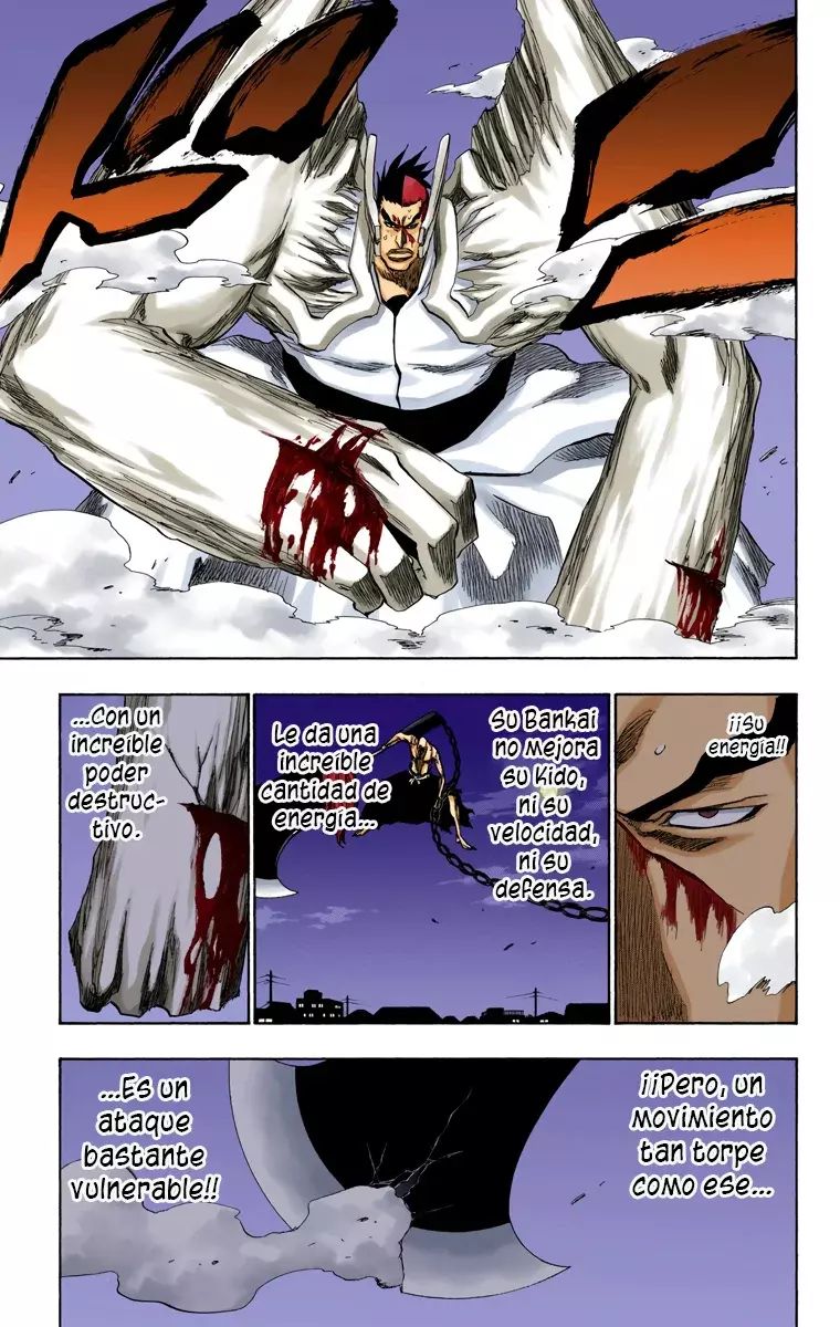 Bleach (Color) capítulo 205, página 15