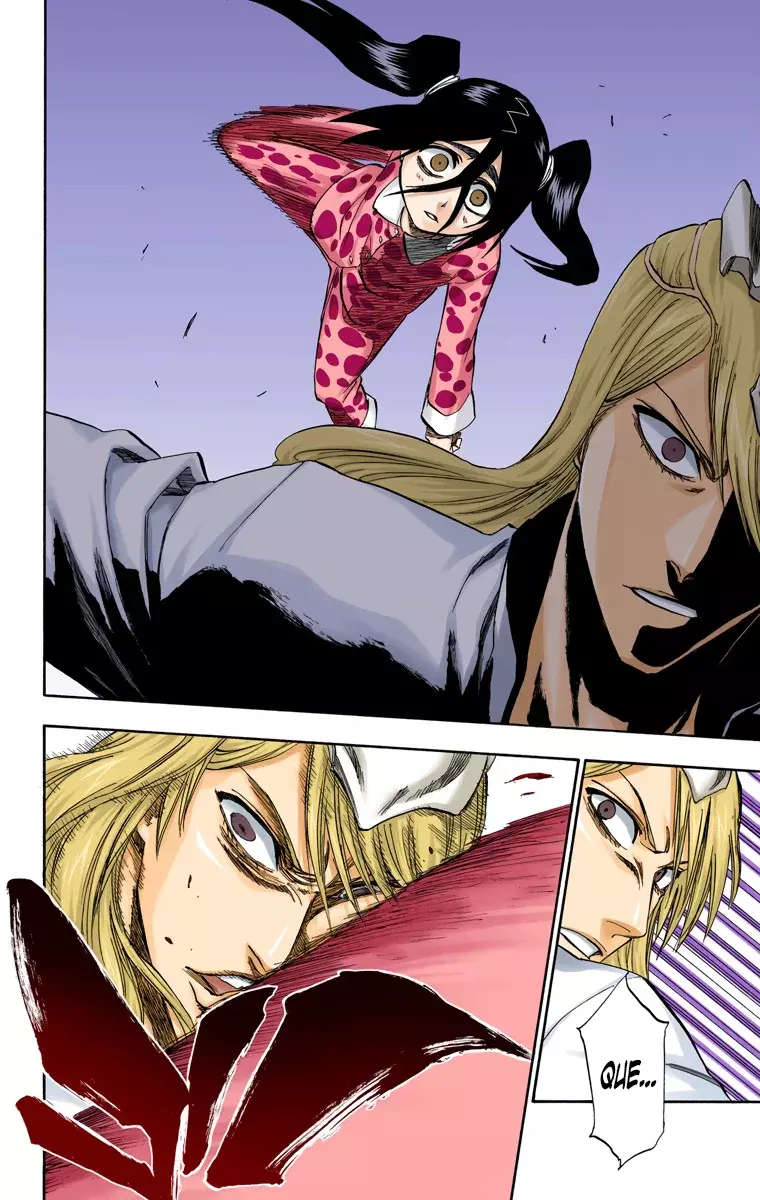Bleach (Color) capítulo 207, página 13