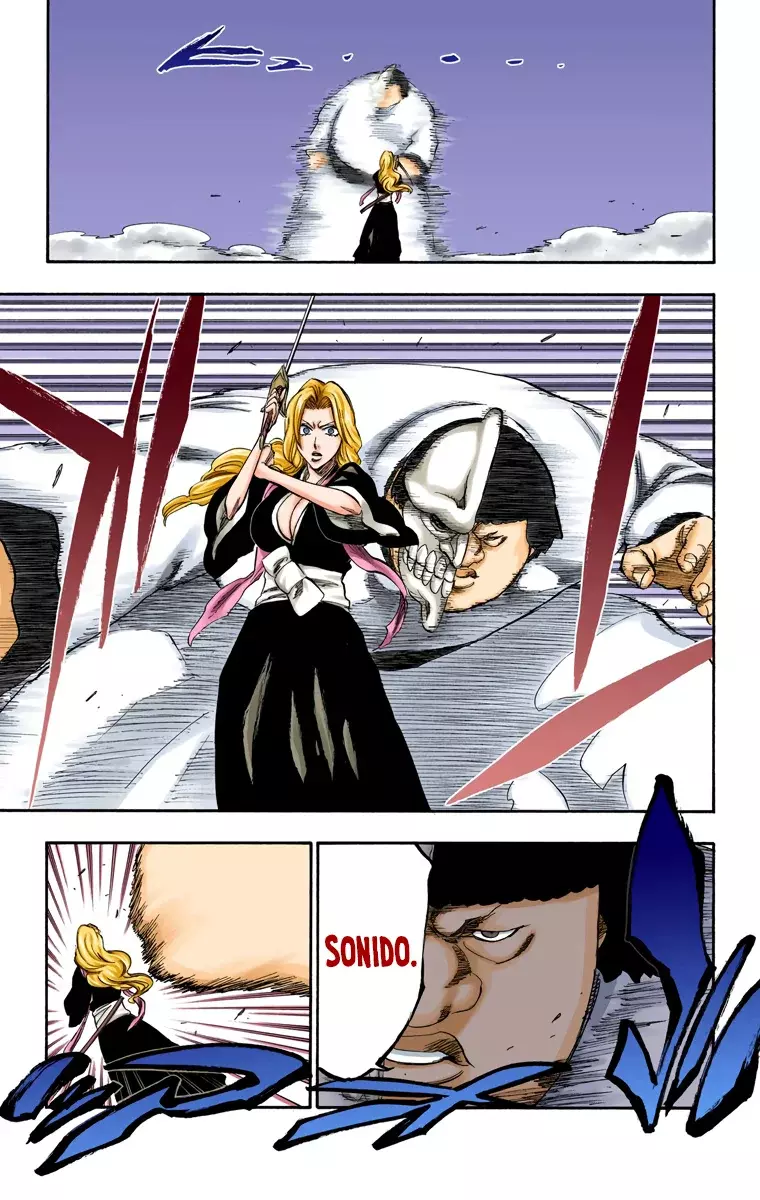 Bleach (Color) capítulo 210, página 11