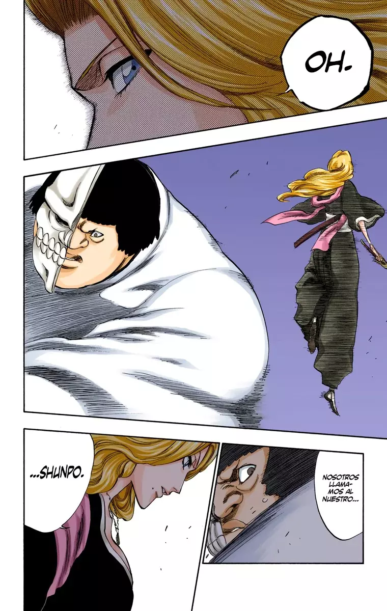 Bleach (Color) capítulo 210, página 12