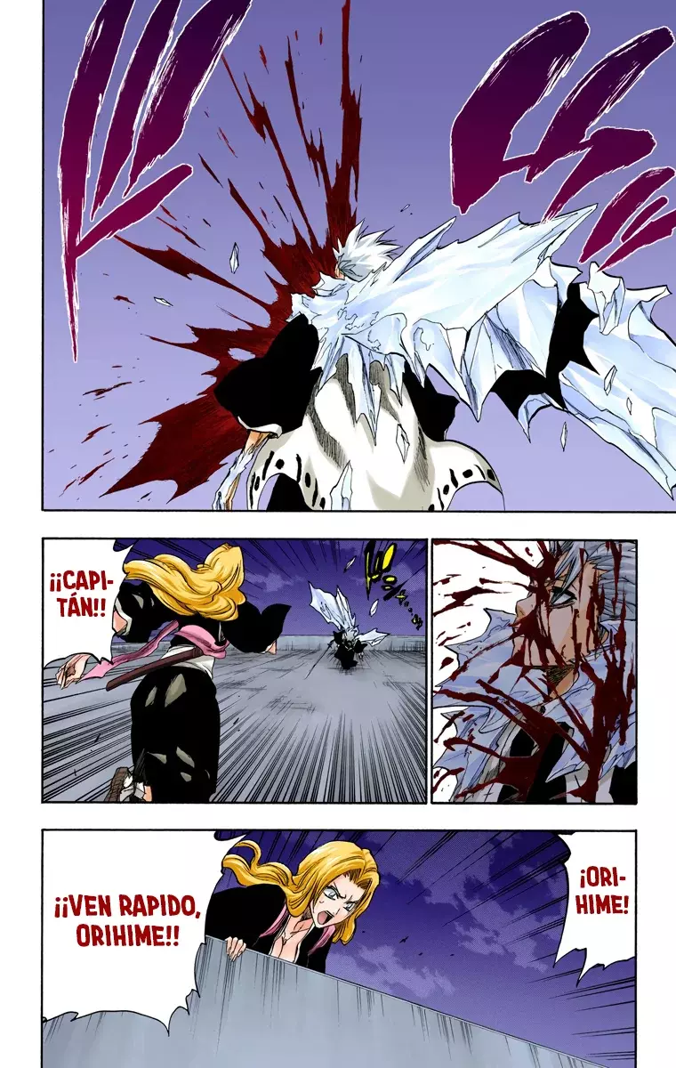 Bleach (Color) capítulo 211, página 3