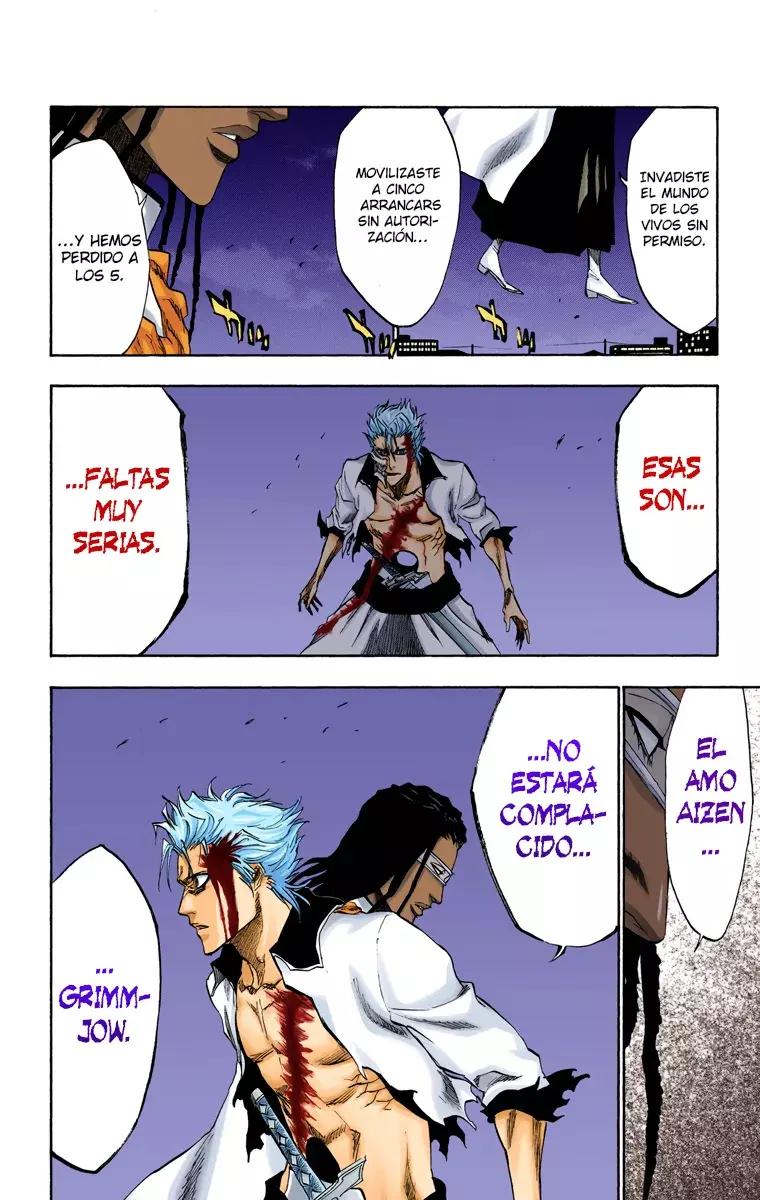 Bleach (Color) capítulo 212, página 9