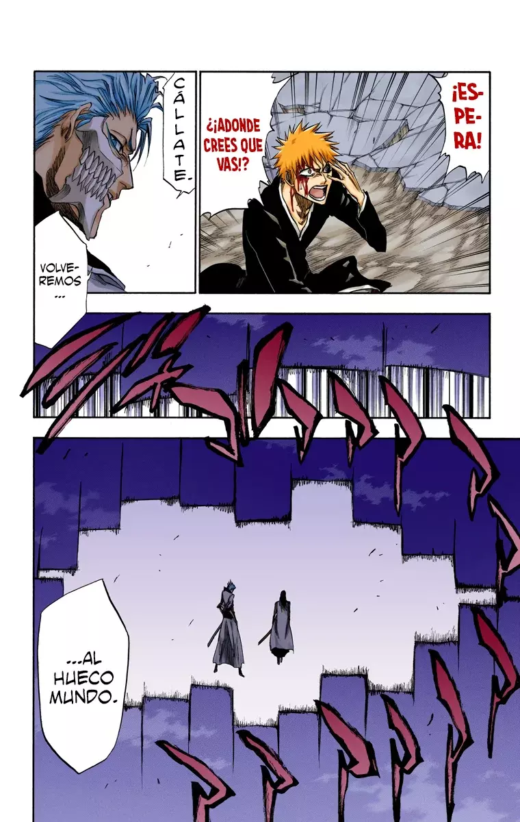 Bleach (Color) capítulo 212, página 11