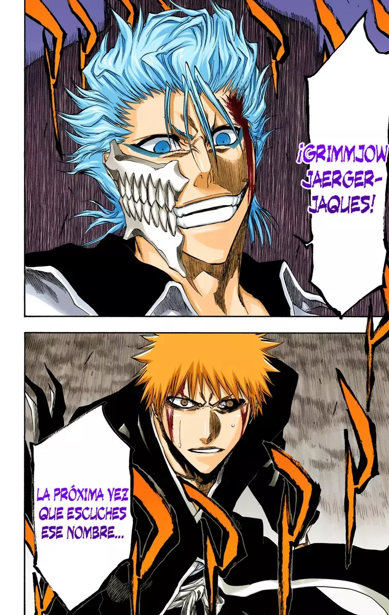 Bleach (Color) capítulo 212, página 15
