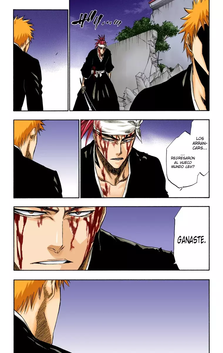 Bleach (Color) capítulo 212, página 17