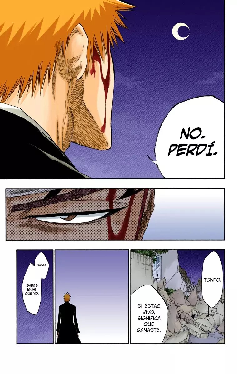 Bleach (Color) capítulo 212, página 18