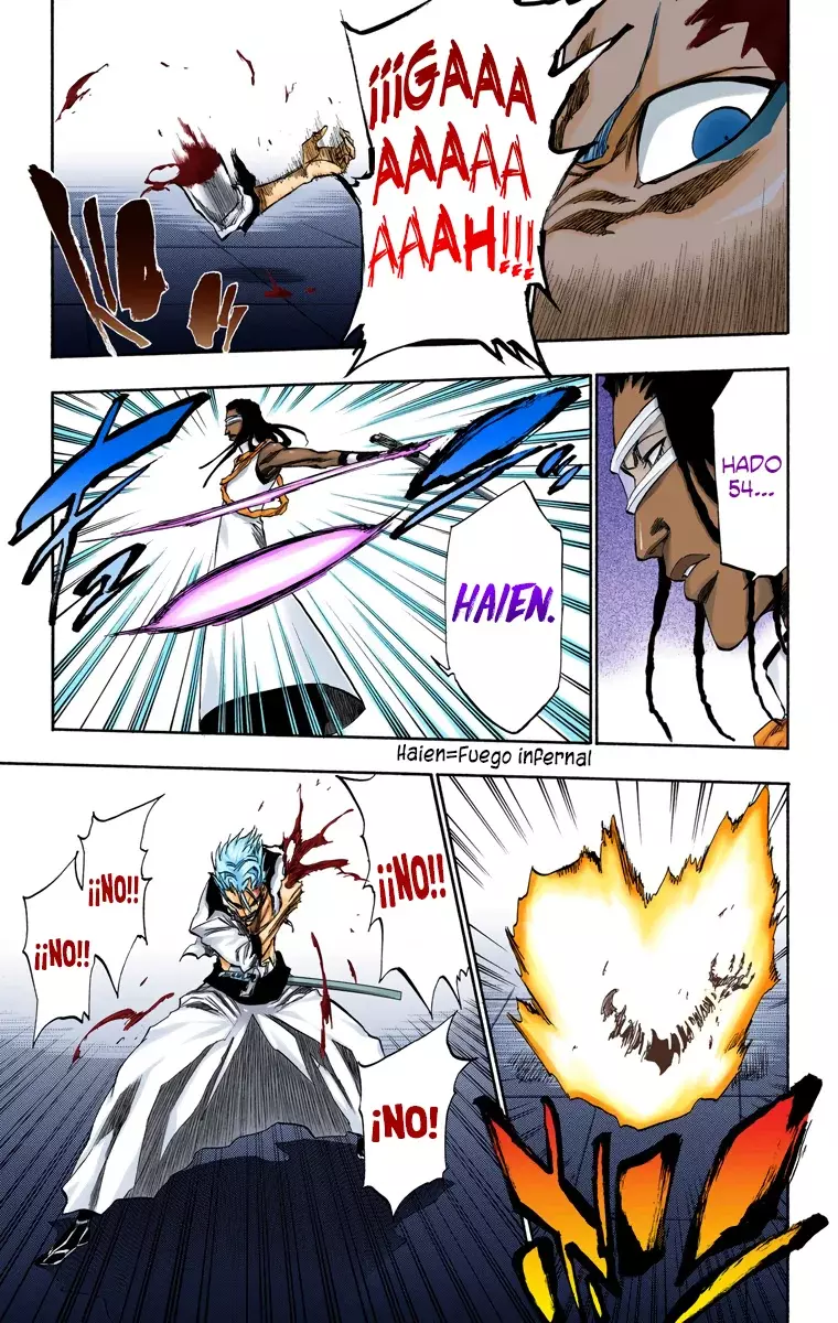 Bleach (Color) capítulo 213, página 16