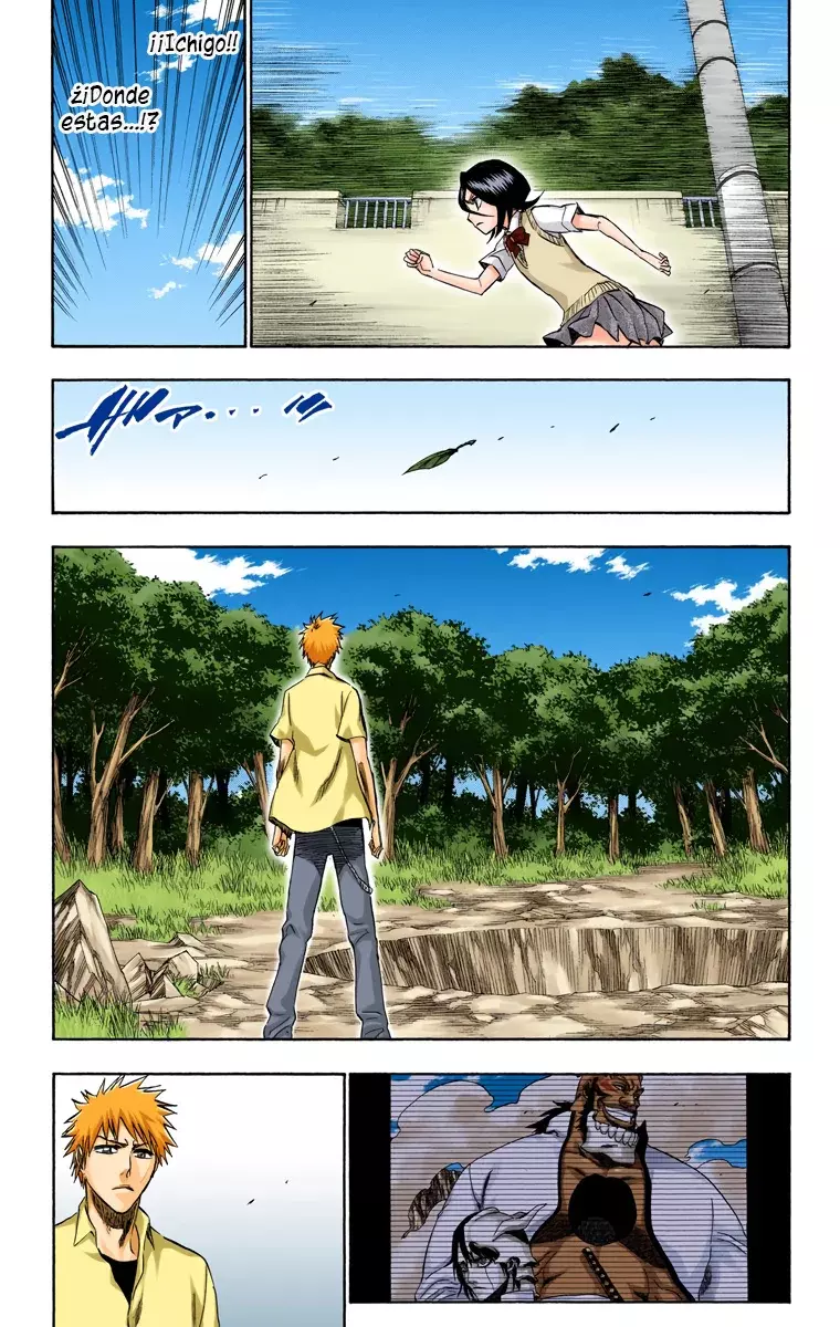 Bleach (Color) capítulo 214, página 11