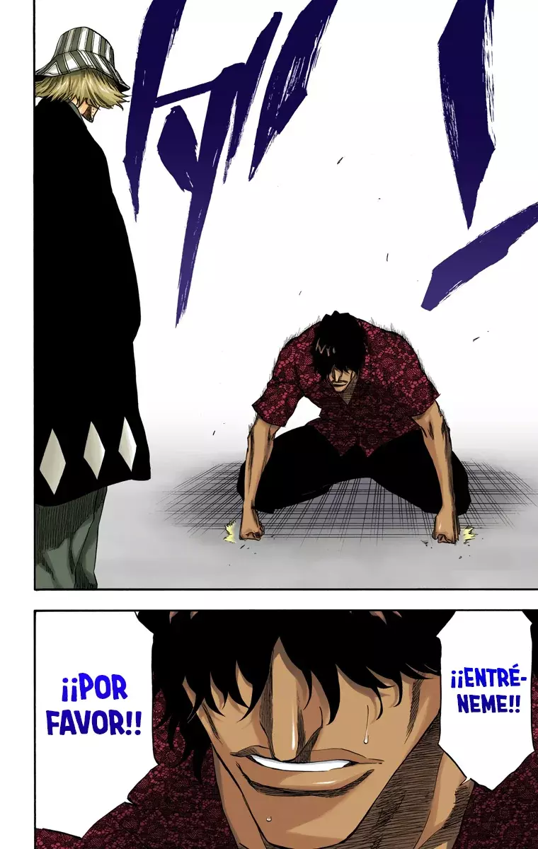 Bleach (Color) capítulo 214, página 17