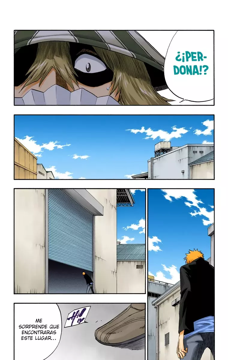 Bleach (Color) capítulo 214, página 18