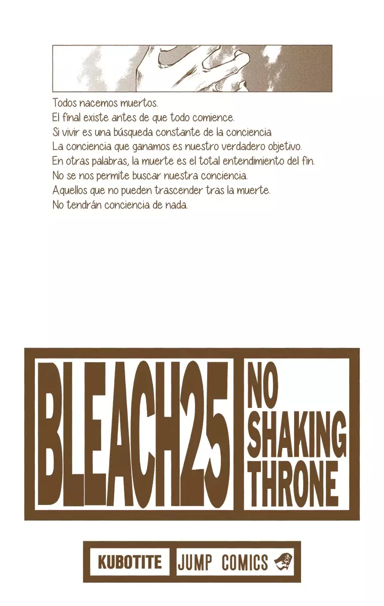Bleach (Color) capítulo 215, página 4