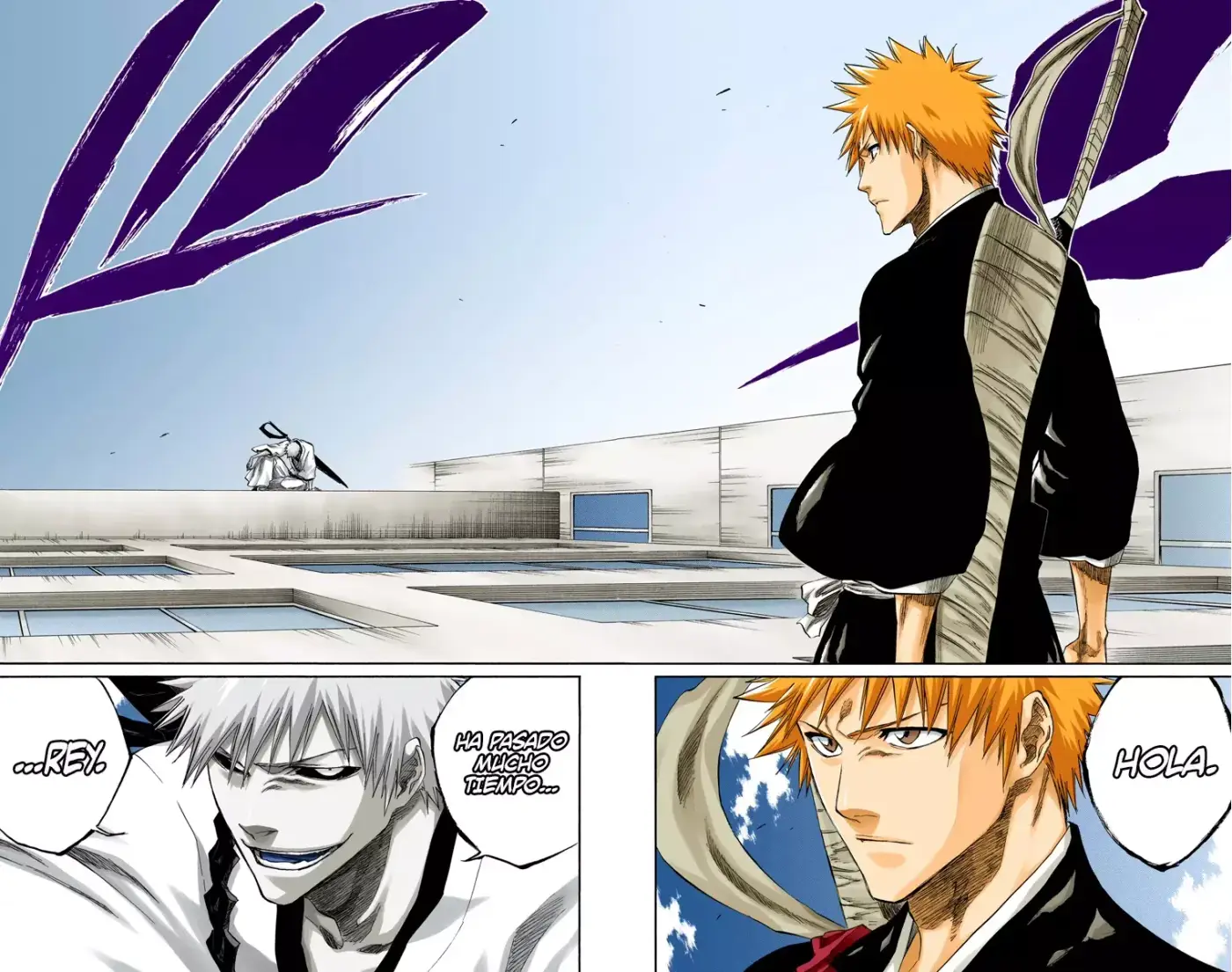 Bleach (Color) capítulo 217, página 19