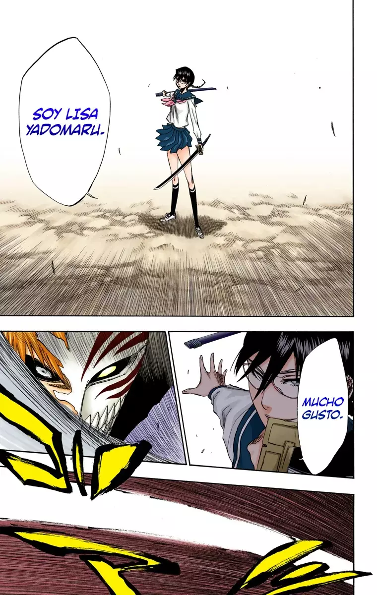 Bleach (Color) capítulo 218, página 17
