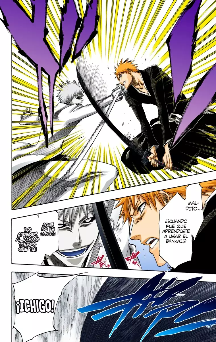 Bleach (Color) capítulo 219, página 9