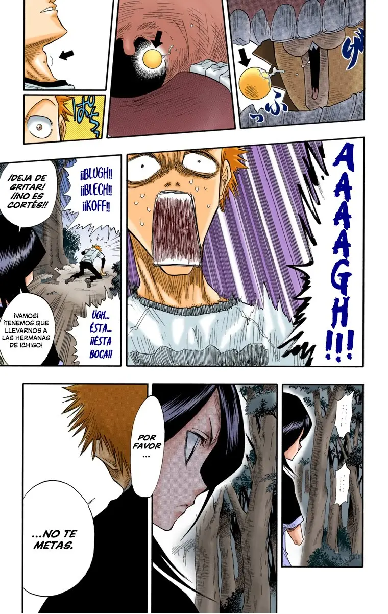 Bleach (Color) capítulo 22, página 4