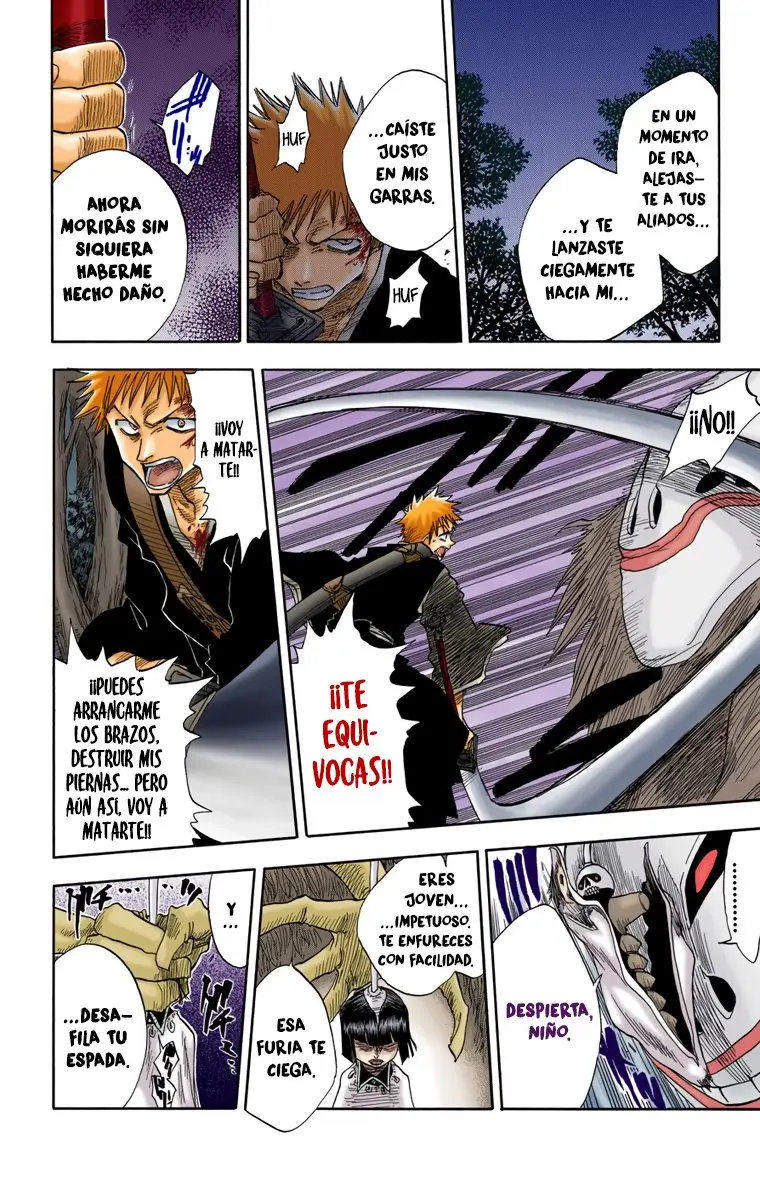 Bleach (Color) capítulo 22, página 19