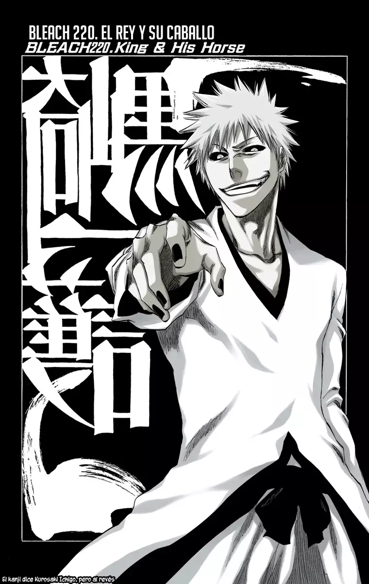 Bleach (Color) capítulo 220, página 8