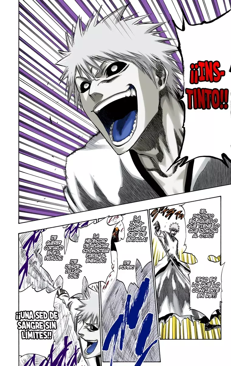 Bleach (Color) capítulo 220, página 13
