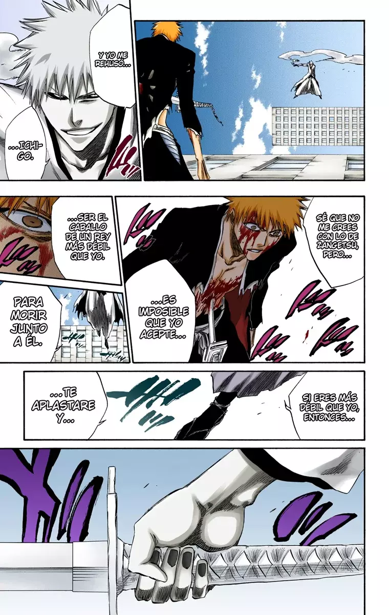 Bleach (Color) capítulo 220, página 16