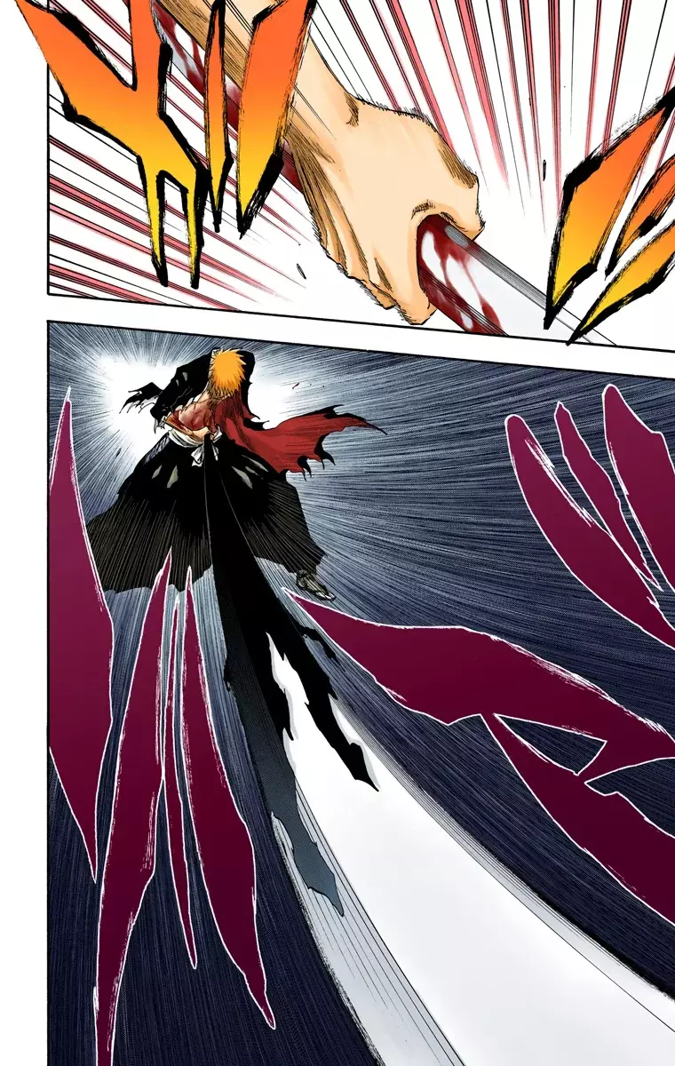 Bleach (Color) capítulo 220, página 19