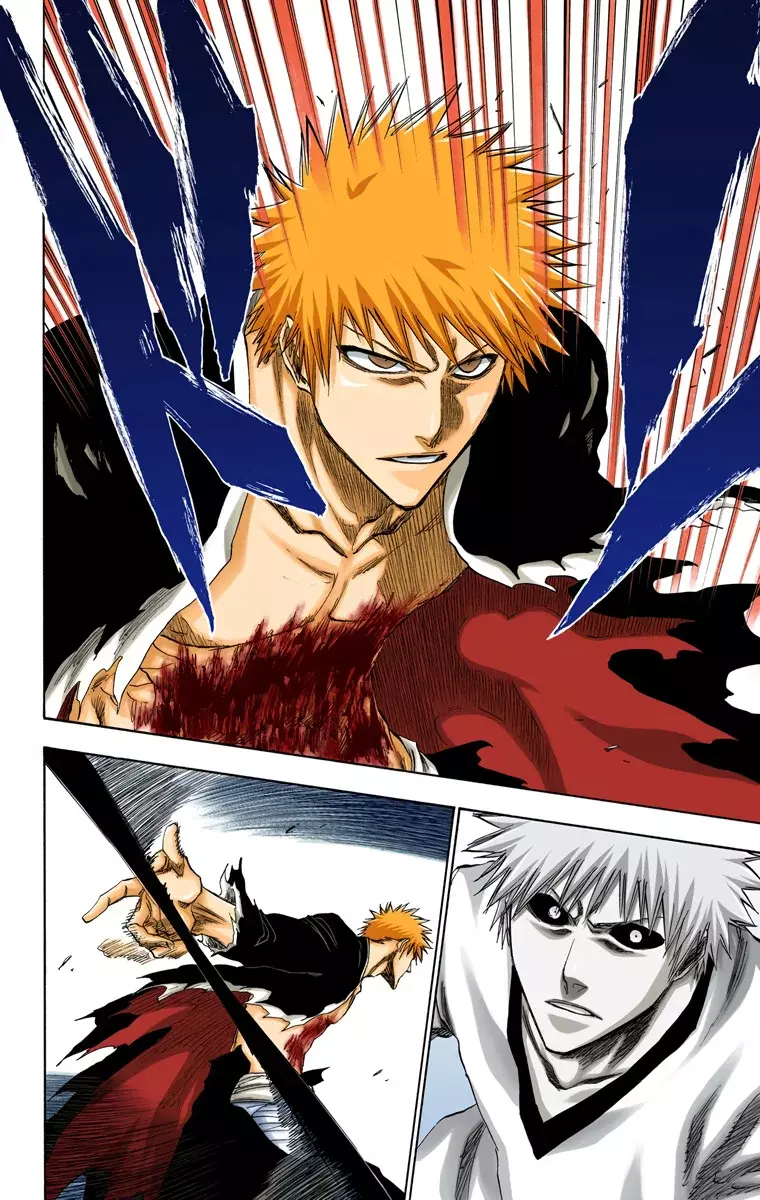 Bleach (Color) capítulo 221, página 13