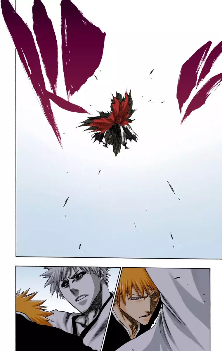 Bleach (Color) capítulo 221, página 15