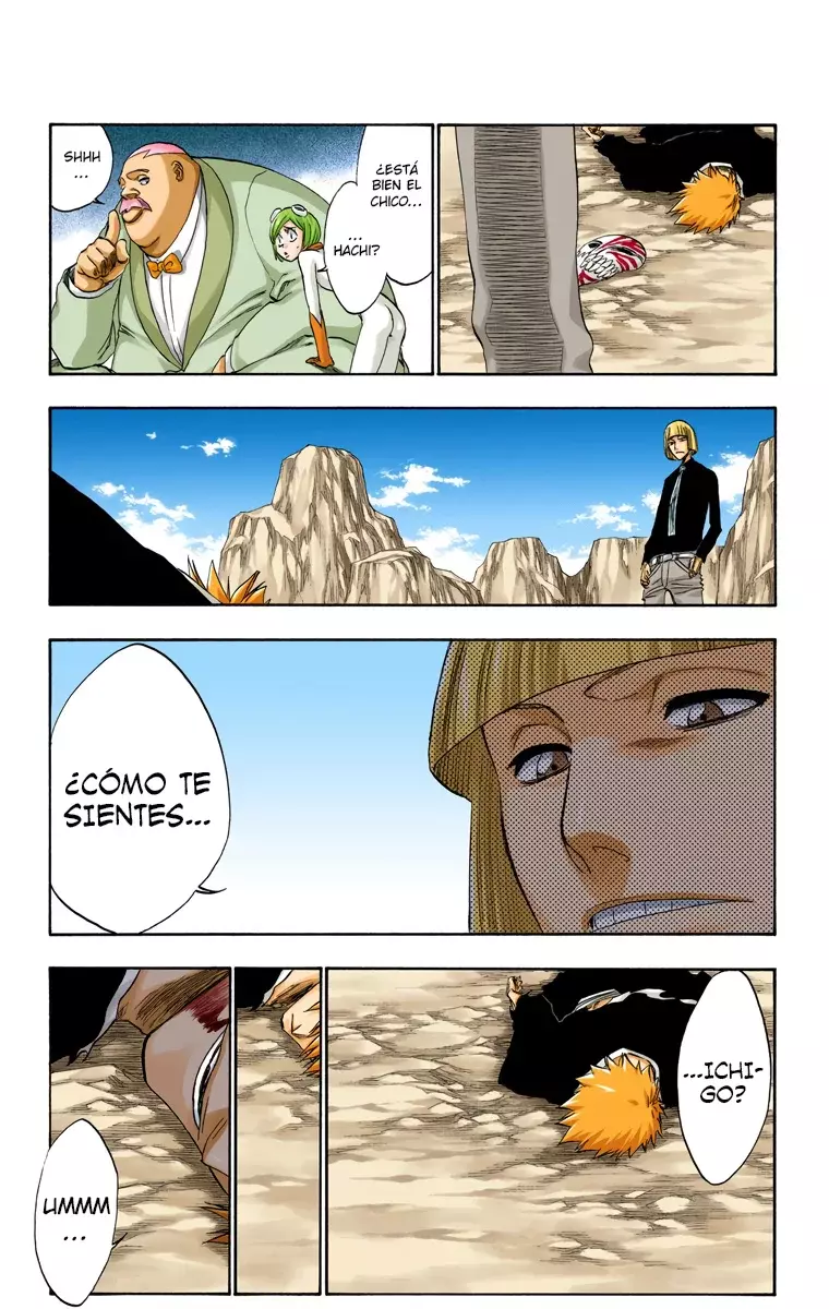 Bleach (Color) capítulo 222, página 12