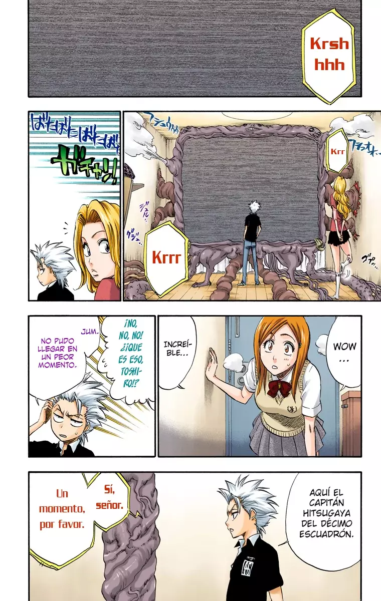 Bleach (Color) capítulo 222, página 19