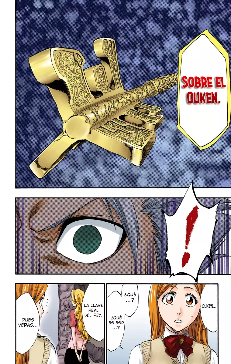 Bleach (Color) capítulo 223, página 7