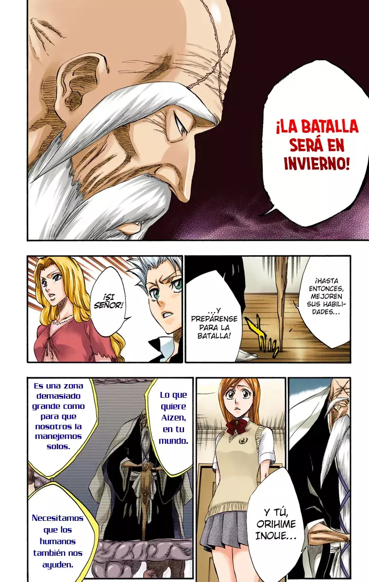 Bleach (Color) capítulo 223, página 15
