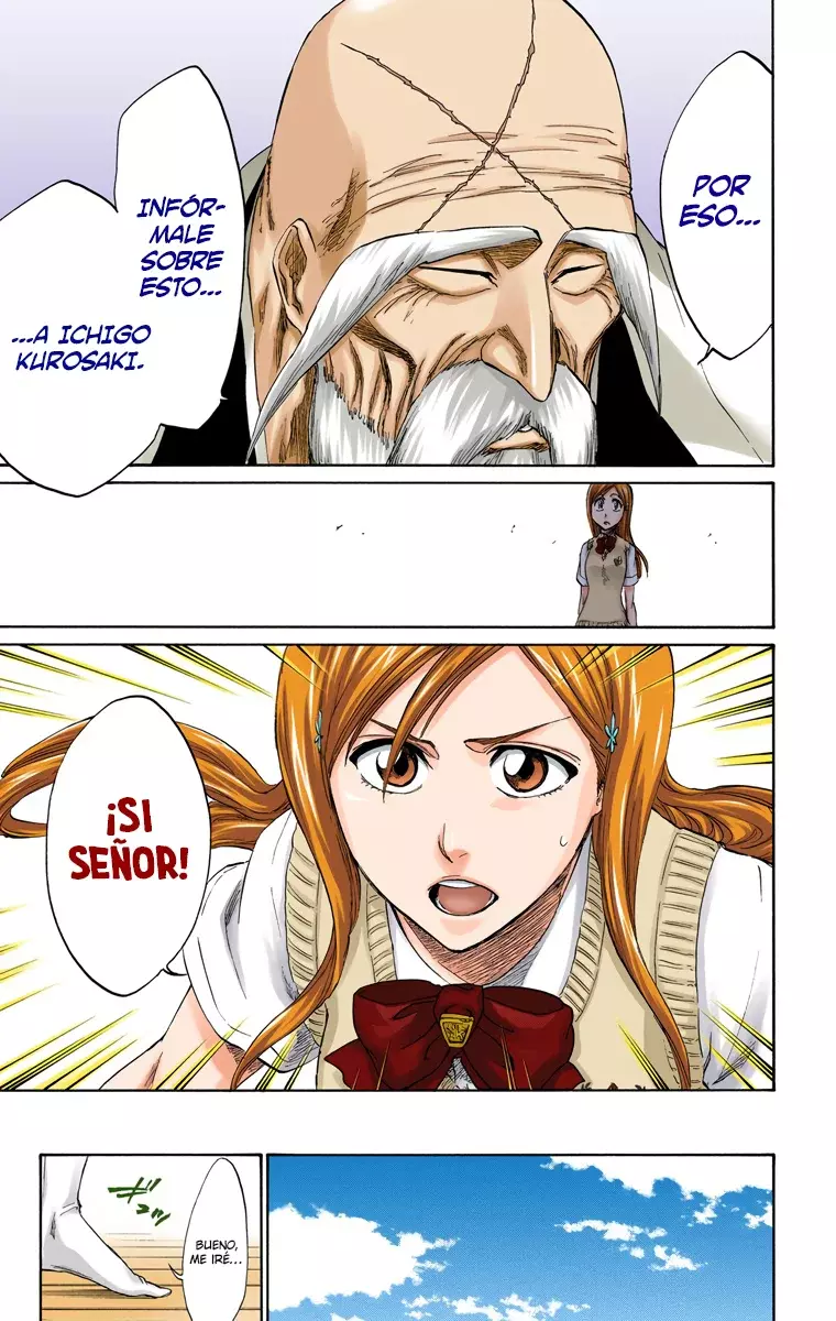 Bleach (Color) capítulo 223, página 16