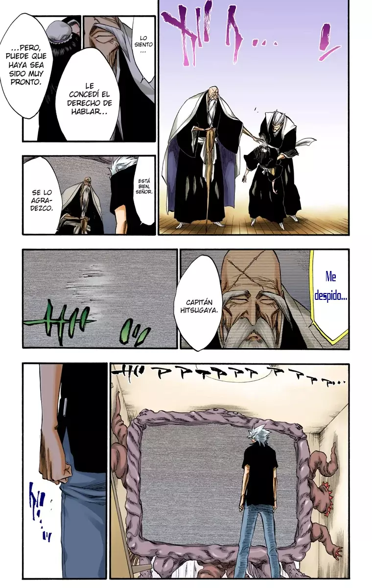 Bleach (Color) capítulo 224, página 16