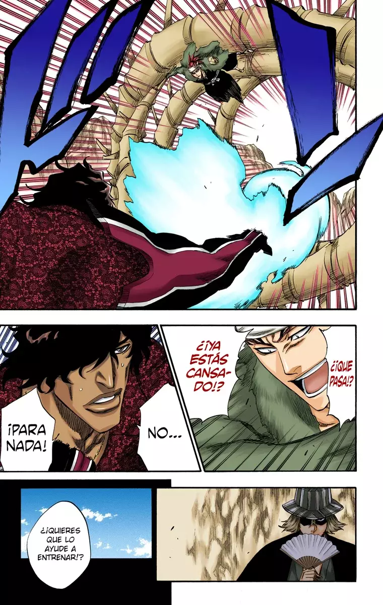 Bleach (Color) capítulo 224, página 18