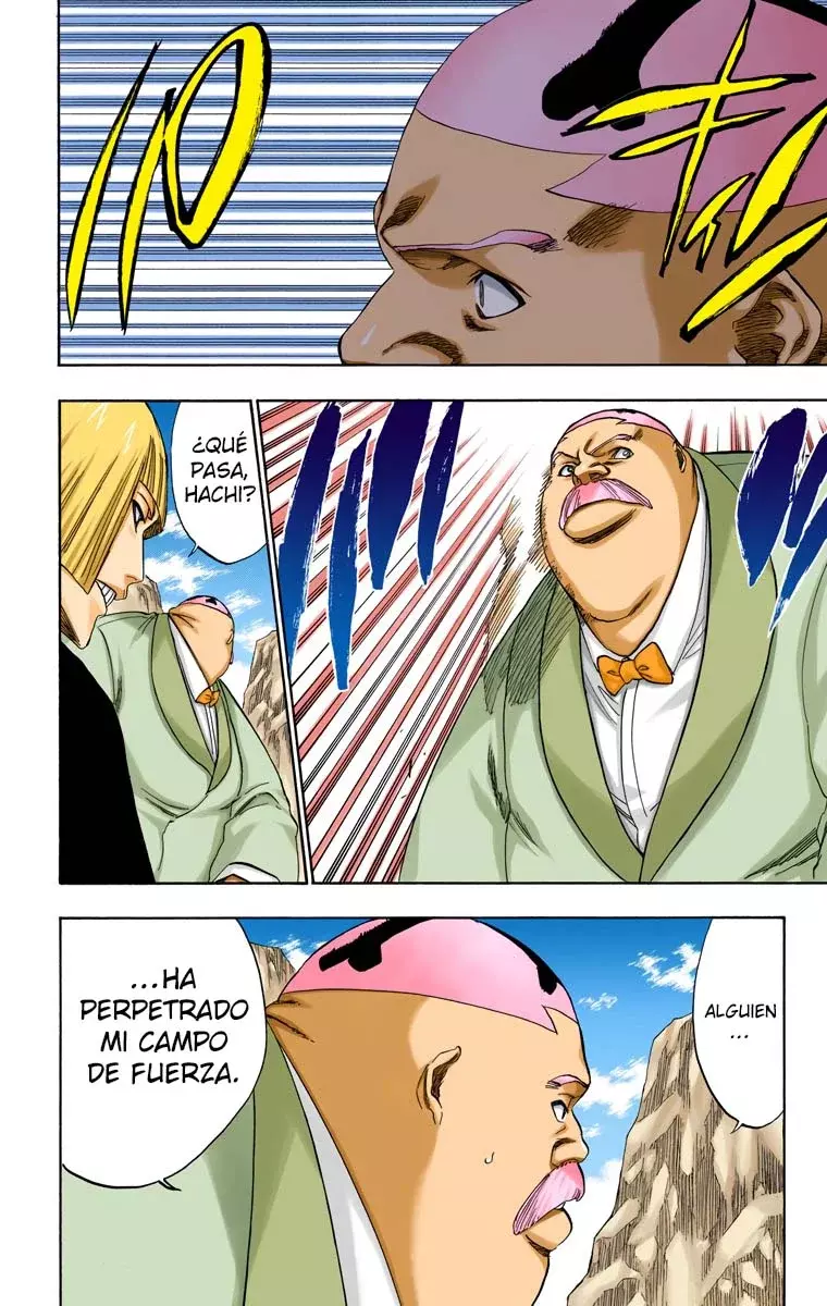 Bleach (Color) capítulo 225, página 11