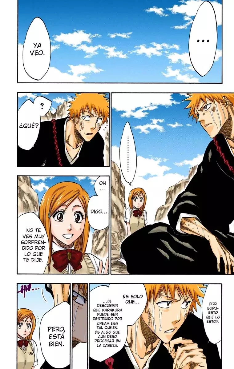 Bleach (Color) capítulo 225, página 15