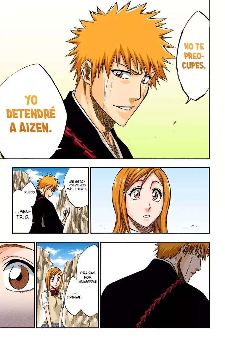 Bleach (Color) capítulo 225, página 16