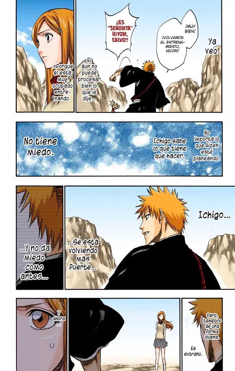 Bleach (Color) capítulo 225, página 17