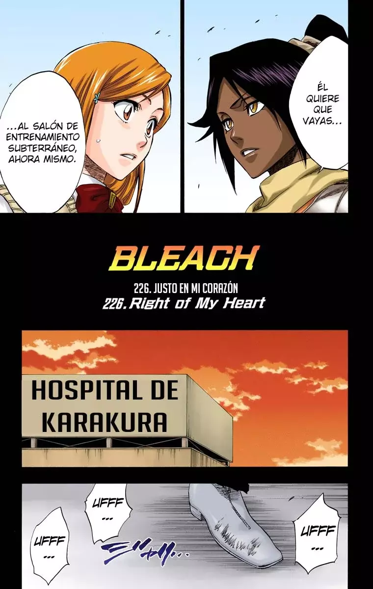 Bleach (Color) capítulo 226, página 6