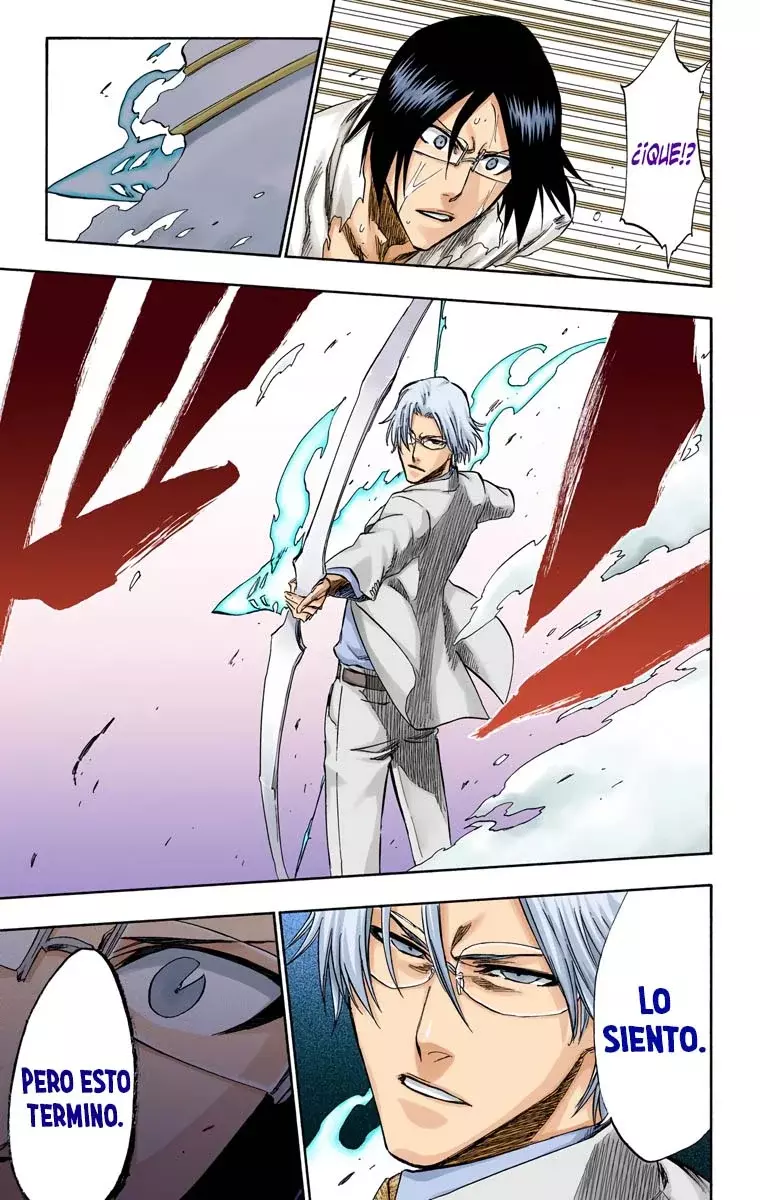 Bleach (Color) capítulo 226, página 14