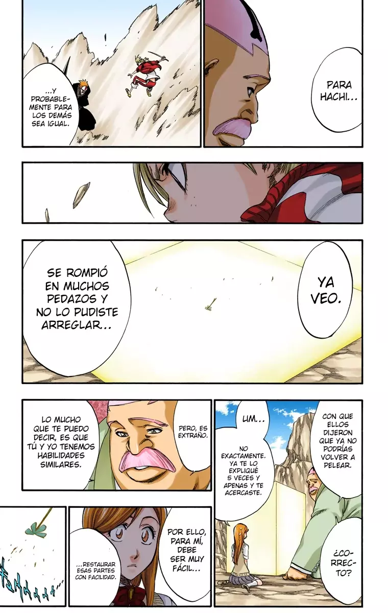 Bleach (Color) capítulo 228, página 14