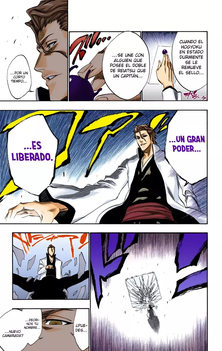 Bleach (Color) capítulo 229, página 15