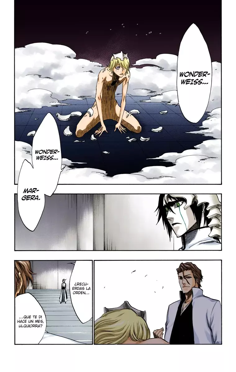 Bleach (Color) capítulo 229, página 16
