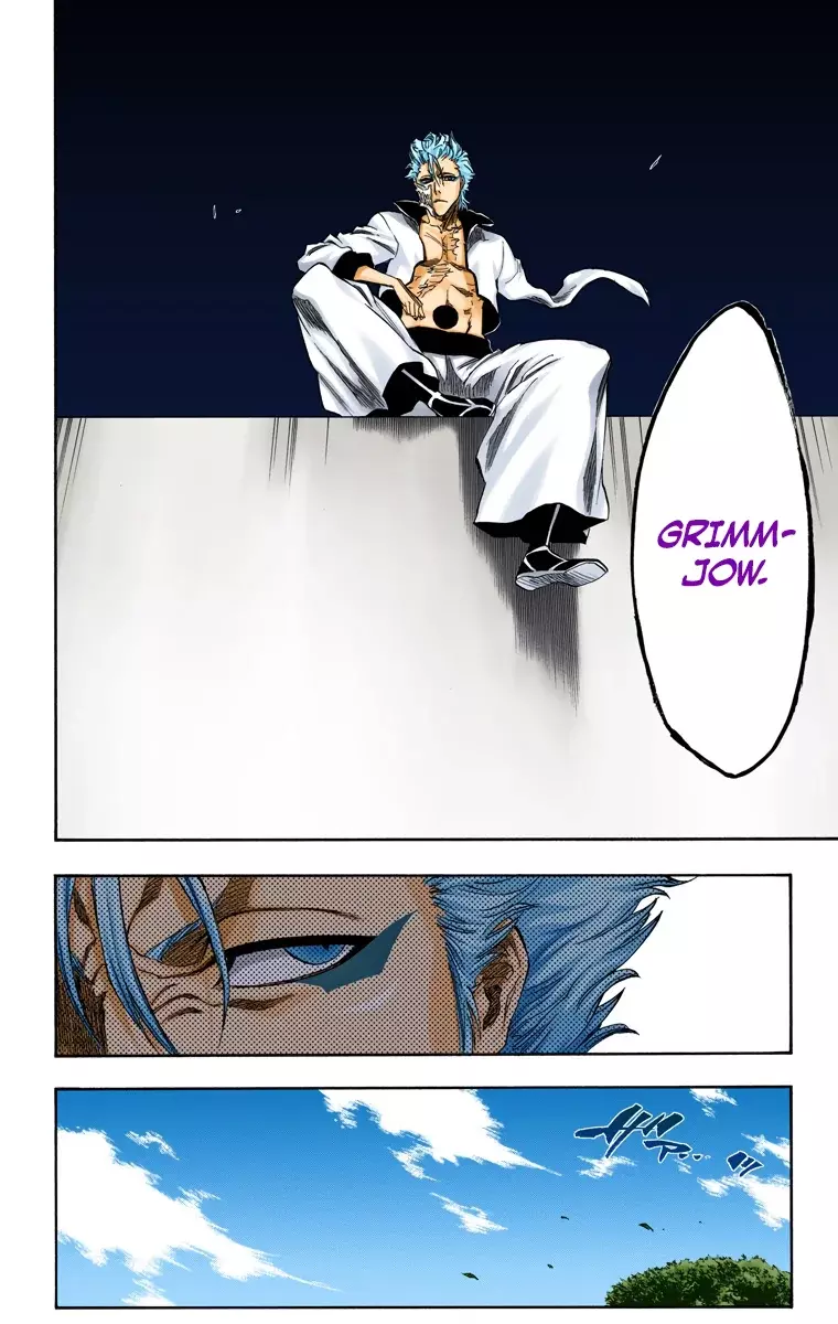 Bleach (Color) capítulo 229, página 18