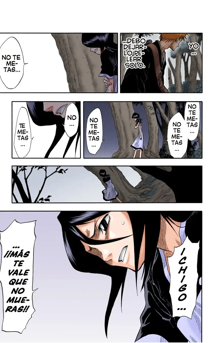 Bleach (Color) capítulo 23, página 14